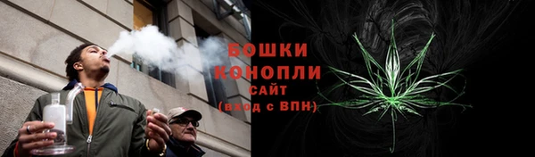 ГАЛЛЮЦИНОГЕННЫЕ ГРИБЫ Навашино