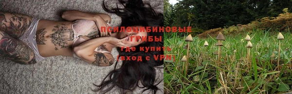 ГАЛЛЮЦИНОГЕННЫЕ ГРИБЫ Навашино