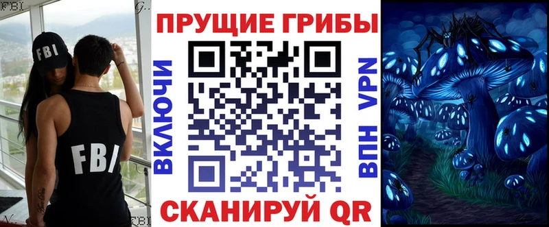Псилоцибиновые грибы GOLDEN TEACHER  МЕГА tor  Кировград 